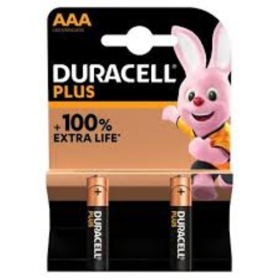 DURACELL PLUS POWER AAA 2's